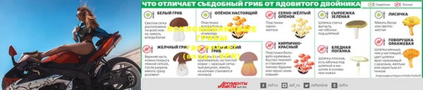 марихуана Михайловск