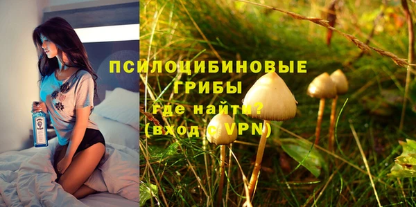 стафф Михайловка