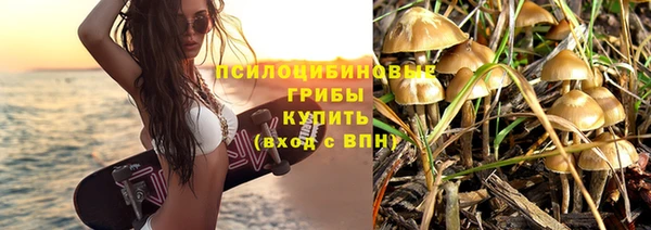 стафф Михайловка