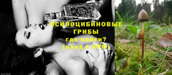 стафф Михайловка