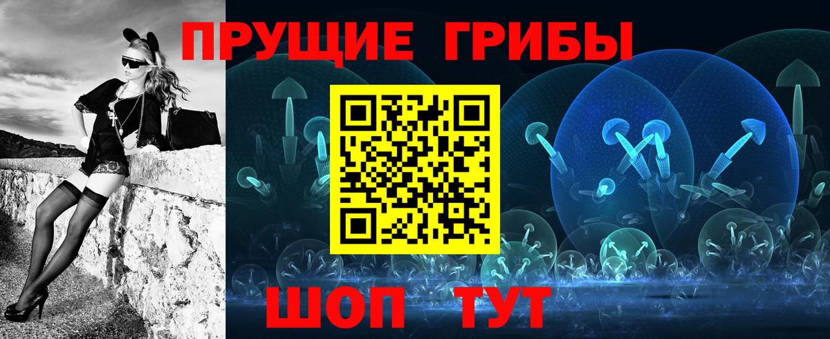 Псилоцибиновые грибы Cubensis Заречный