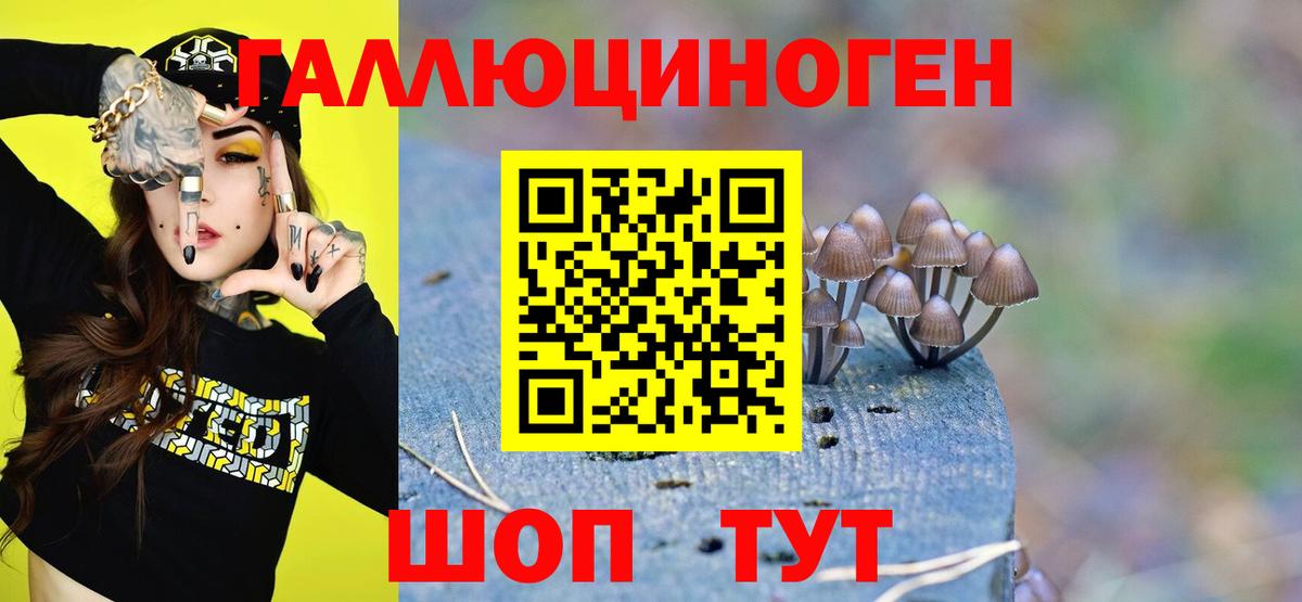 Псилоцибиновые грибы мухоморы Заречный