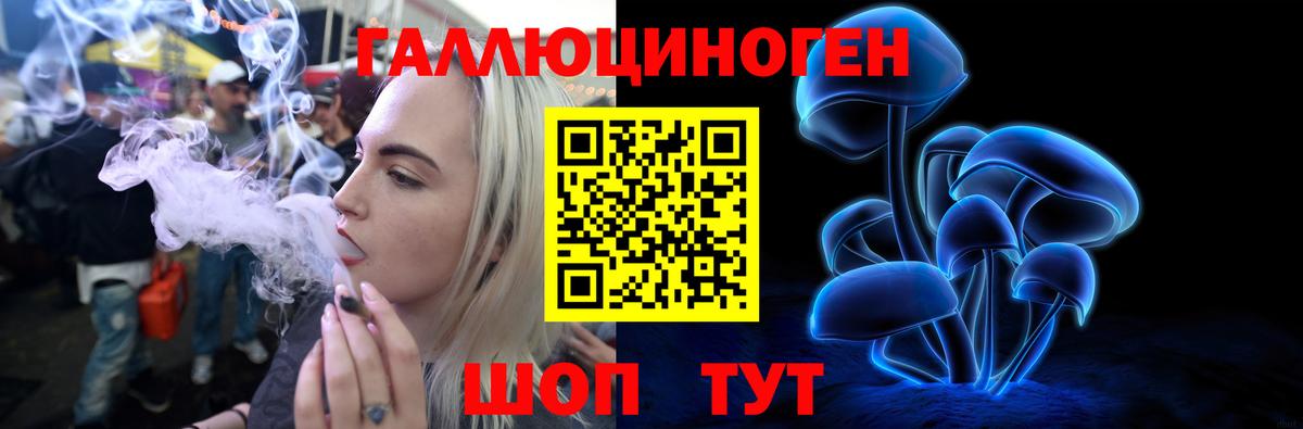 где купить   Псилоцибиновые грибы Psilocybe  Заречный  Вход с VPN  Псилоцибиновые грибы мухоморы 